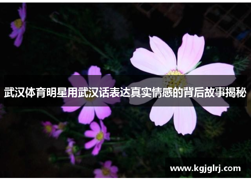 武汉体育明星用武汉话表达真实情感的背后故事揭秘